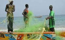 Saint-Louis: les licences de pêche des Guet Ndariens prolongées de 3 mois 