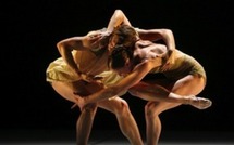 Des danseurs africains et européens au Festival ‘’Duo solo danse’’ de Saint-Louis