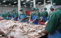 Covid-19 : La Mauritanie va réserver 10 mille tonnes de poissons pour éviter une crise alimentaire