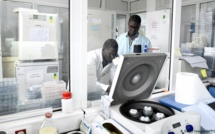 Le Coronavirus : Une aubaine pour les Sénégalais et les Africains. Par Docteur Moustapha DIEDHIOU