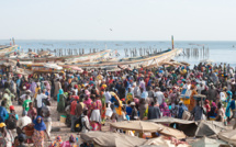 Codiv-19 :  Fermeture du marché central et du quai de pêche de Mbour pour quatre jours