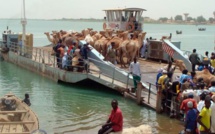 Covid-19 : Bloqués en Mauritanie, 3 Sénégalais portés disparus dans le fleuve Sénégal