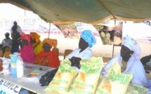 Sénégal: Plaidoyer pour la protection de l'économie familiale rurale