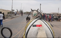 Langue de Barbarie : Plus d'excréments de chevaux sur la voie publique (vidéo)