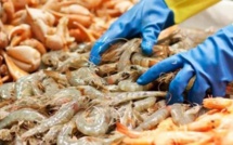 Chine : Le coronavirus découvert sur des emballages de fruits de mer (autorité)