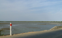 Apparition de deux nouvelles brèches sur le fleuve Sénégal : des villages du Gandiolais face à la furie