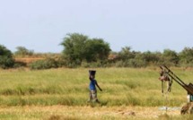 Un économiste remet en question un projet agroindustriel de la BM dans le Nord