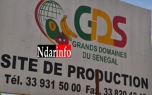 Saint-Louis - GDS: Grogne des travailleurs contre le licenciement de 15 travailleurs et d'un délégué.[VIDÉO]