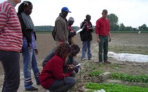 Coopération: 12 lycéens et apprentis lommois (Lille) vont visiter le centre d'initiative horticole de Saint-Louis.