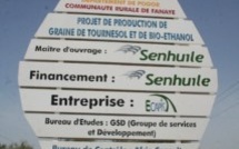 Le projet Sen huile/Sen éthanol divise les populations de Nguith.