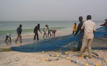 La Mauritanie et le Sénégal ont signé un protocole d'application d'une convention de pêche et d'aquaculture.