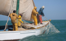 Exclusif: La Mauritanie accorde 40.000 tonnes par an et autorise 300 embarcations sénégalaises.