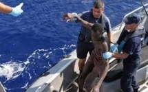 Naufrage à St-Louis: L’armée sénégalaise et la marine espagnole patrouillent en mer.