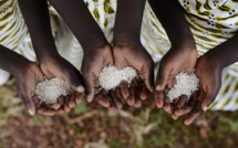 Une enveloppe de 17 milliards pour améliorer la sécurité alimentaire en Afrique