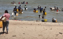 Soif à Ndar : la grosse ruée vers le fleuve (photos)