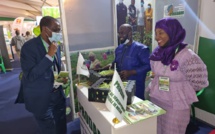 PHOTOS | FIARA 2021: Aboubacry SOW échange avec les exposants du Nord