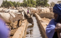 Lancement d’un programme visant la résilience des populations rurales