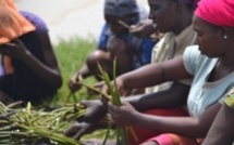 [VIDEO] Le film de la mobilisation de Diele Mbame contre l’érosion côtière. Regardez.