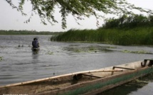 L’OMVS avertit des risques d’inondations dans la vallée du fleuve Sénégal