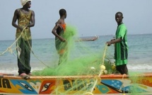 Pêche: Repos biologique d'un mois.