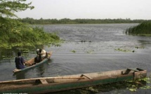 Immersion dans le lac de Guiers: A la découverte d'un trésor aquatique.