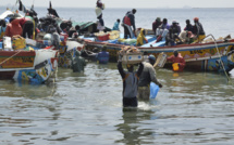 ​Saint-Louis : un expert analyse les impacts des changements climatiques sur la pêche (vidéo)