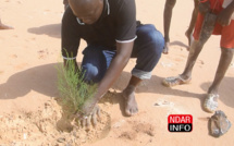 Écosystèmes dégradés par la brèche : Lancement d’une nouvelle campagne de reboisement (vidéo)