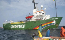 Pillage des eaux en Afrique de l'Ouest : Greenpeace intercepte un navire-citerne transportant de l'huile de poisson