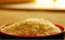 Riz importé en Afrique : une chaîne alimentaire juteuse