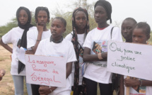 Changement climatique : les trésors de la mangrove dévoilés aux enfants – vidéo