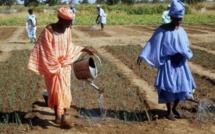 Des villages de Saint-Louis adhèrent au Réseau panafricain des écovillages, samedi.