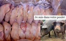 De l’eau et du porc dans le poulet surgelé au Sénégal