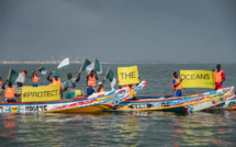 Accords de pèche: Choquée, Greenpeace répond à Me Aïssata Tall Sall