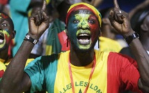 Cheikh Seck : "Après la fête, nous devons nous consacrer aux éliminatoires du Mondial"