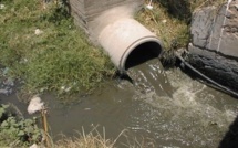 Saint-Louis : une association met en garde contre l'utilisation des eaux de lavage