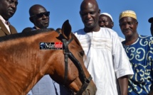 Saint-Louis - Assainissement : Mansour Faye offre 5 chevaux aux Gie Cetom.