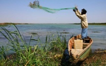 Saint-Louis - Le Gorom/Lampar infecté : risque de pénurie d’eau au mois de mai.