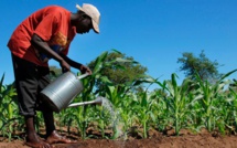 Au Sénégal, la crainte de la panne de nappe