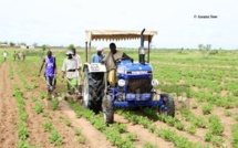 Le Japon offre 8.083 tonnes d’engrais au Sénégal