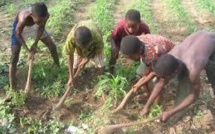 Trafic d’enfants : Un camion arrêté au Sénégal avec 22 jeunes guinéens