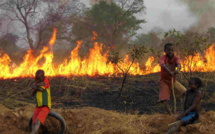 PODOR : Trois mort dont une femme et son enfant dans un feu de brousse à Doumnga-Lao