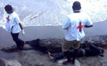 Naufrage dans la breche à Saint-Louis: Les corps des 8 pêcheurs retrouvés à Ndiébéne Gandiole