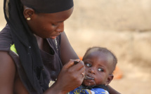 Saint-Louis abritera un atelier sur la situation nutritionnelle du Sénégal, ce jeudi