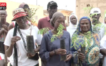 Campagne de reboisement : Give1Project cible Pikine Sénégal – vidéo