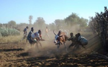 Mauritanie : 216 cas de la fièvre du Rift dans 6 wilayas