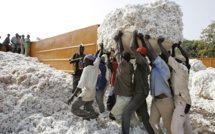 Sahel : Mauritanie, la nouvelle route du coton malien