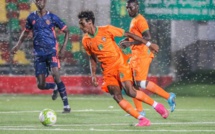 Mauritanie : un match du championnat de football arrêté après une invasion d’insectes sur le stade