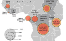 Ebola: la Guinée ferme ses frontières terrestres avec Liberia et Sierra Leone