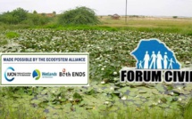 GESTION DES RESSOURCES ENVIRONNEMENTALES DE LA VALLÉE DU FLEUVE SÉNÉGAL : la démarche innovante du Forum civil de Saint-Louis.