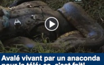 VIDEO - Avalé vivant par un anaconda pour la télé: ça, c'est fait!